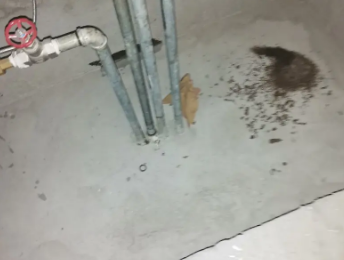 东光卫生间测漏水价格明细